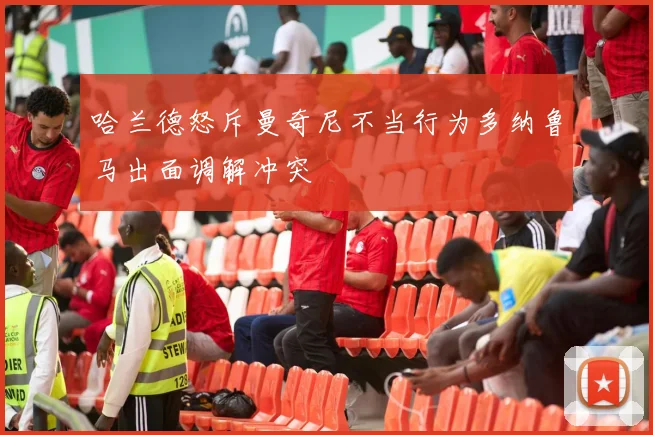 哈兰德怒斥曼奇尼不当行为多纳鲁马出面调解冲突
