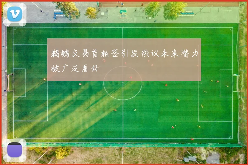 鹈鹕交易首轮签引发热议未来潜力被广泛看好