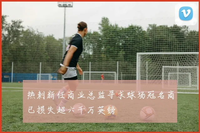 热刺新任商业总监寻求球场冠名商已损失超六千万英镑